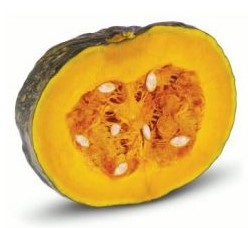 Zapallo kabutia