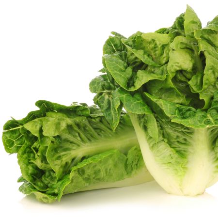 Lechuga criolla