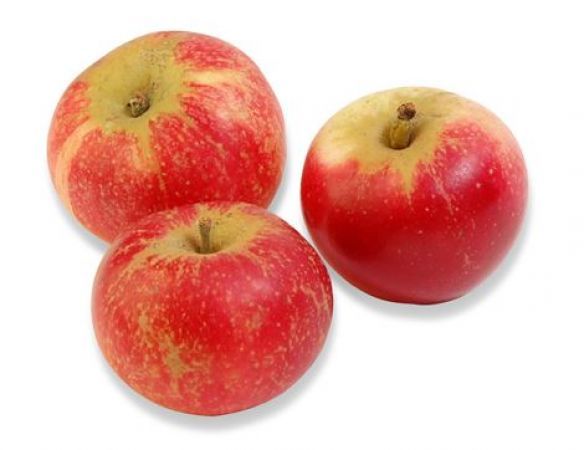 Manzana Gala