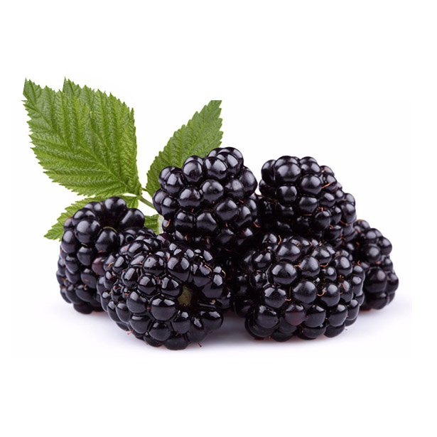 Moras