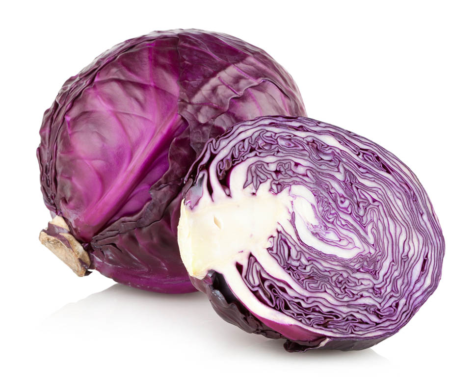 Repollo morado
